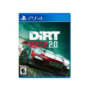 DiRT Rally 2.0 (PS4)